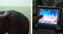 Digital Palpation & Thermo-Camera Imaging Were Used For The Post VET-2 Sonotron Treatment Evaluation Of Racehorse With Inflammation At Sacroiliac Region